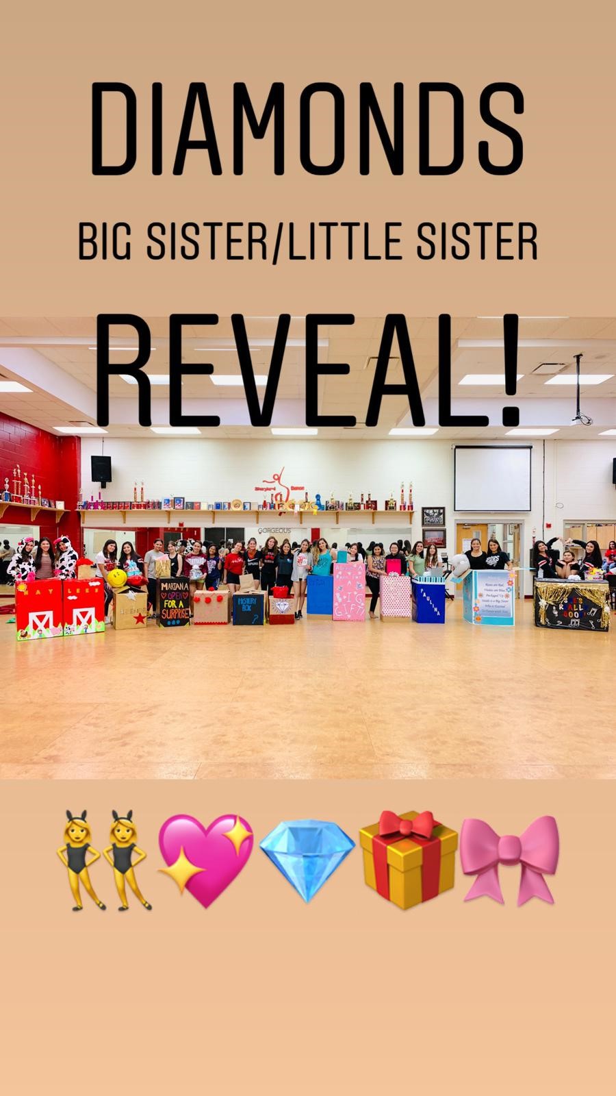 Big Sister and Little Sister Reveal